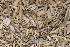 biomass boilers Bwlchtocyn